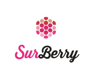 Surberry logo